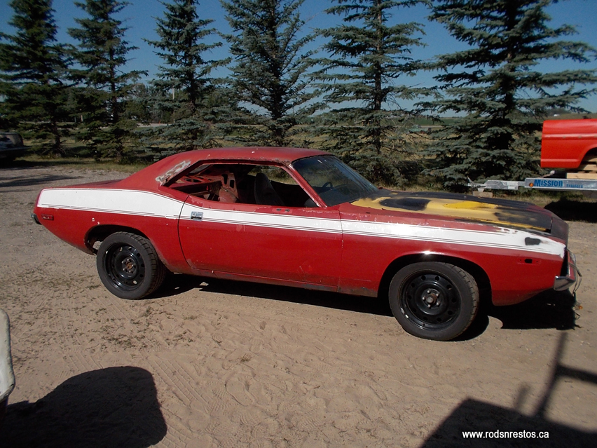 73barracuda_